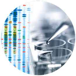 A split image showing DNA sequencing patterns on the left and a pipette placing a drop into test tubes on the right, conveying scientific research and analysis.